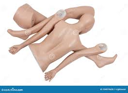 Mannequins Body Parts